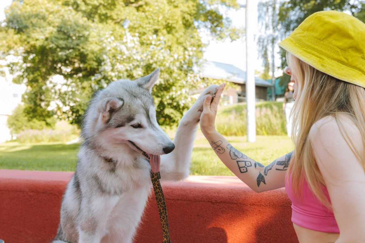 Femme complice avec son chien qui lui tape dans la main – idée cadeau original pour une amoureuse des chiens
