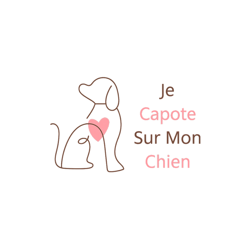 jecapotesurmonchien.com